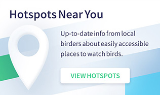 你附近的热点:查看最新的信息从当地的观鸟者容易的地方看鸟。